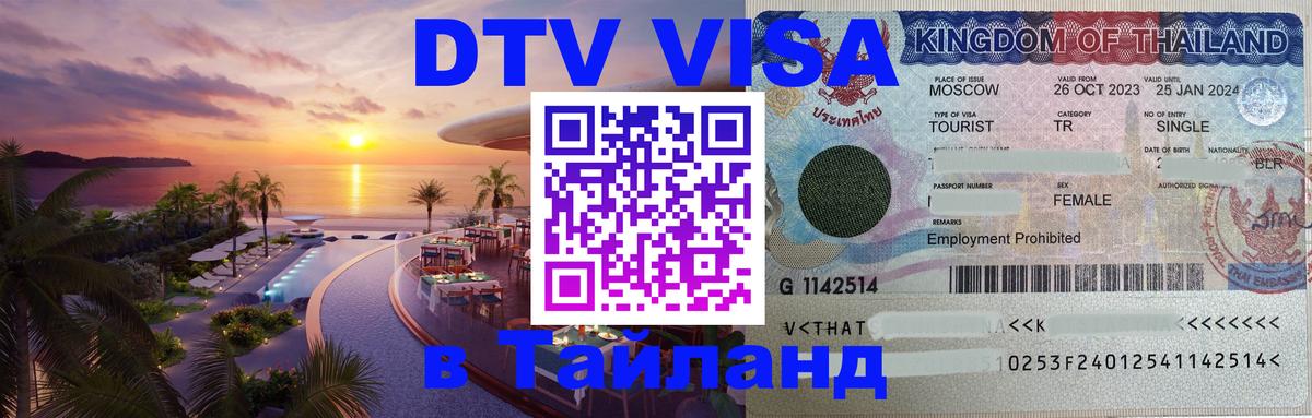 Сколько стоит DTV виза — актуальные цены, оформление даже без документов - Сызрань 